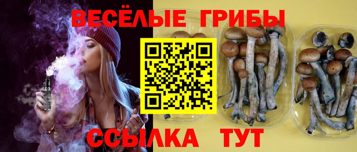 Псилоцибиновые грибы ЛСД Воронеж