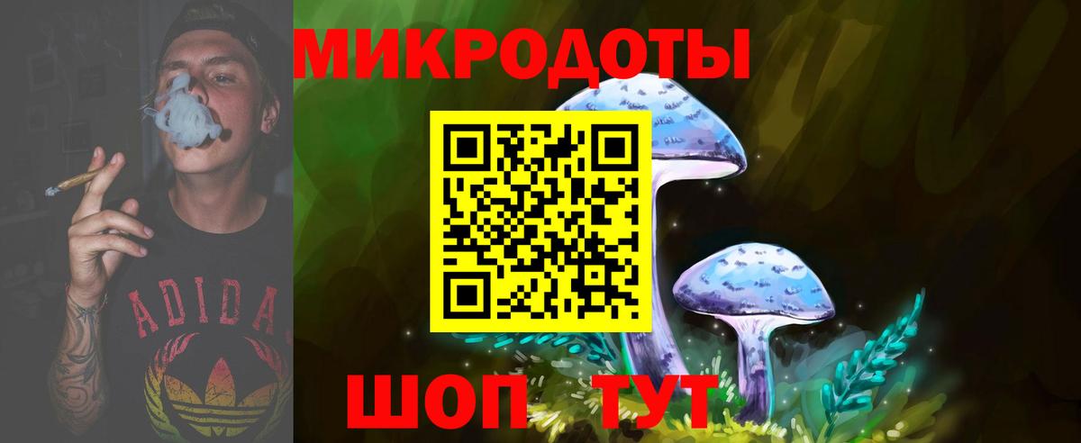 Воронеж  Галлюциногенные грибы Psilocybine cubensis  Вход с VPN 
